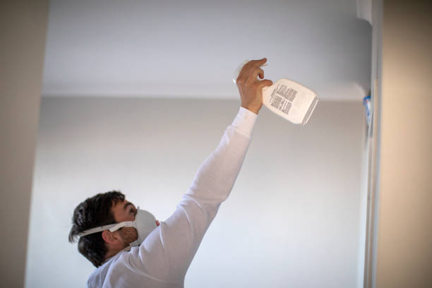 Best Local Mold Removal Service  in New Hempstead, NY